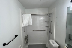 Accessible-Bathroom-ShowerPlainfield-IL-001