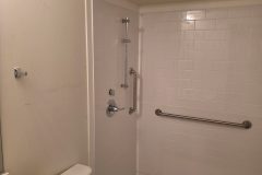 Pingree-Grove-IL-Bathroom-001-scaled