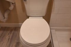 Rock-Island-IL-Bathroom-002-scaled