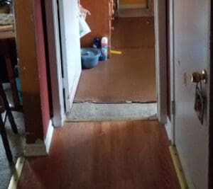 A doorway with a brown wooden floor leads into another room with a different flooring. A pet food bowl, cleaning supplies, and hanging bags are visible in the next room. The door is partially open.