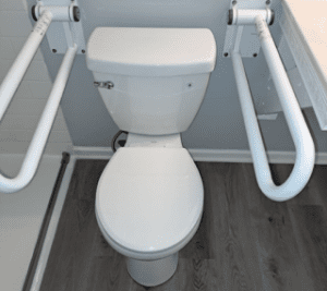 A white toilet with two white grab bars on either side, installed in a bathroom with gray walls and wood-style flooring, designed for accessibility.