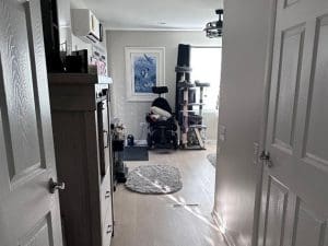 A hallway leads to a sunlit room with light wood floors, a round rug, a tall cat tree by the window, and an electric wheelchair in front of a framed artwork on the wall.