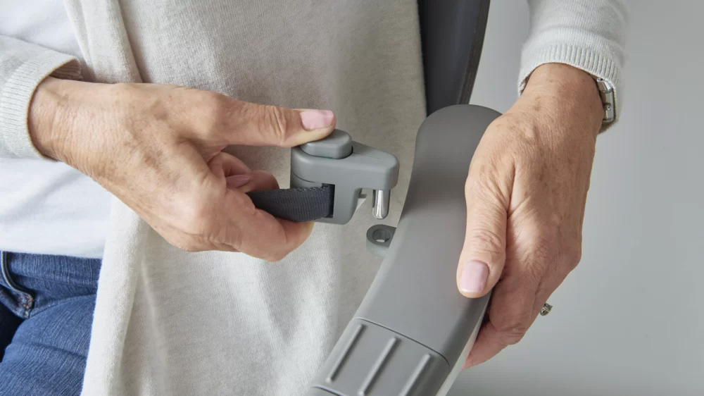 Access BDD Seatbelt