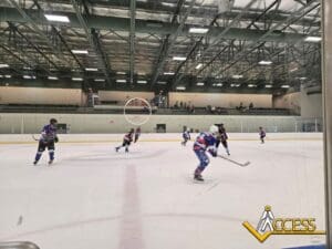 Ice hockey game in progress at an indoor rink with players in dark and blue jerseys; a few spectators sit in the upper stands. ACCESS logo is visible in the bottom right corner.