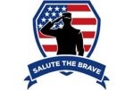 salute the brave salute the brave